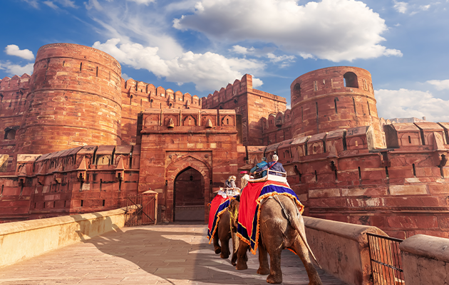 agra-fort-elephants-view-india